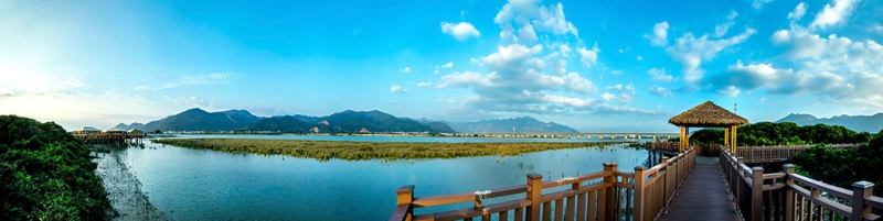 漳州云霄县东厦镇佳洲村