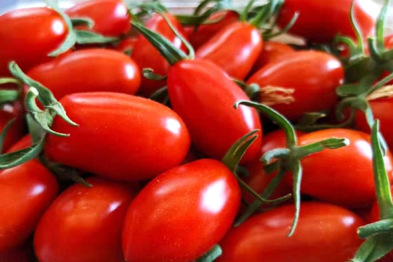 漳州云霄县东厦镇佳洲村