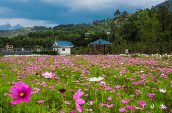 莆田市仙游县书峰乡兰石村