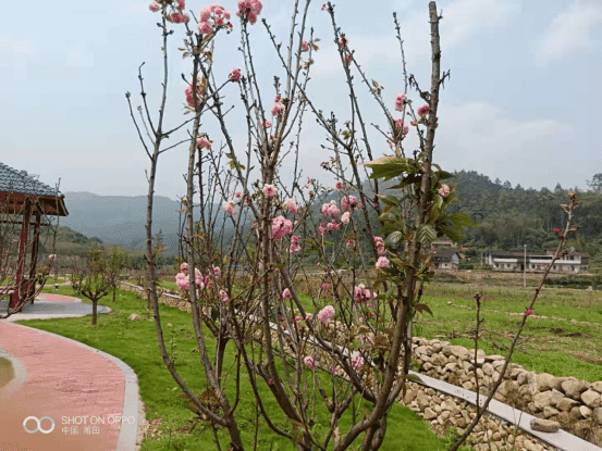 莆田市仙游县书峰乡兰石村
