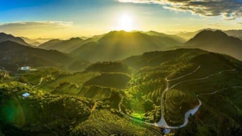 安溪铁观音：“三茶”统筹谋新篇 带你读懂安溪铁观音