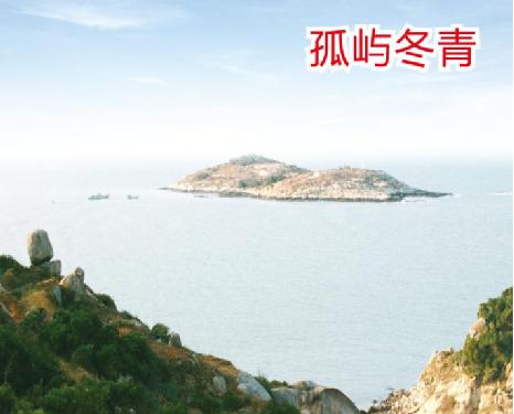 泉州惠安县崇武镇大岞村