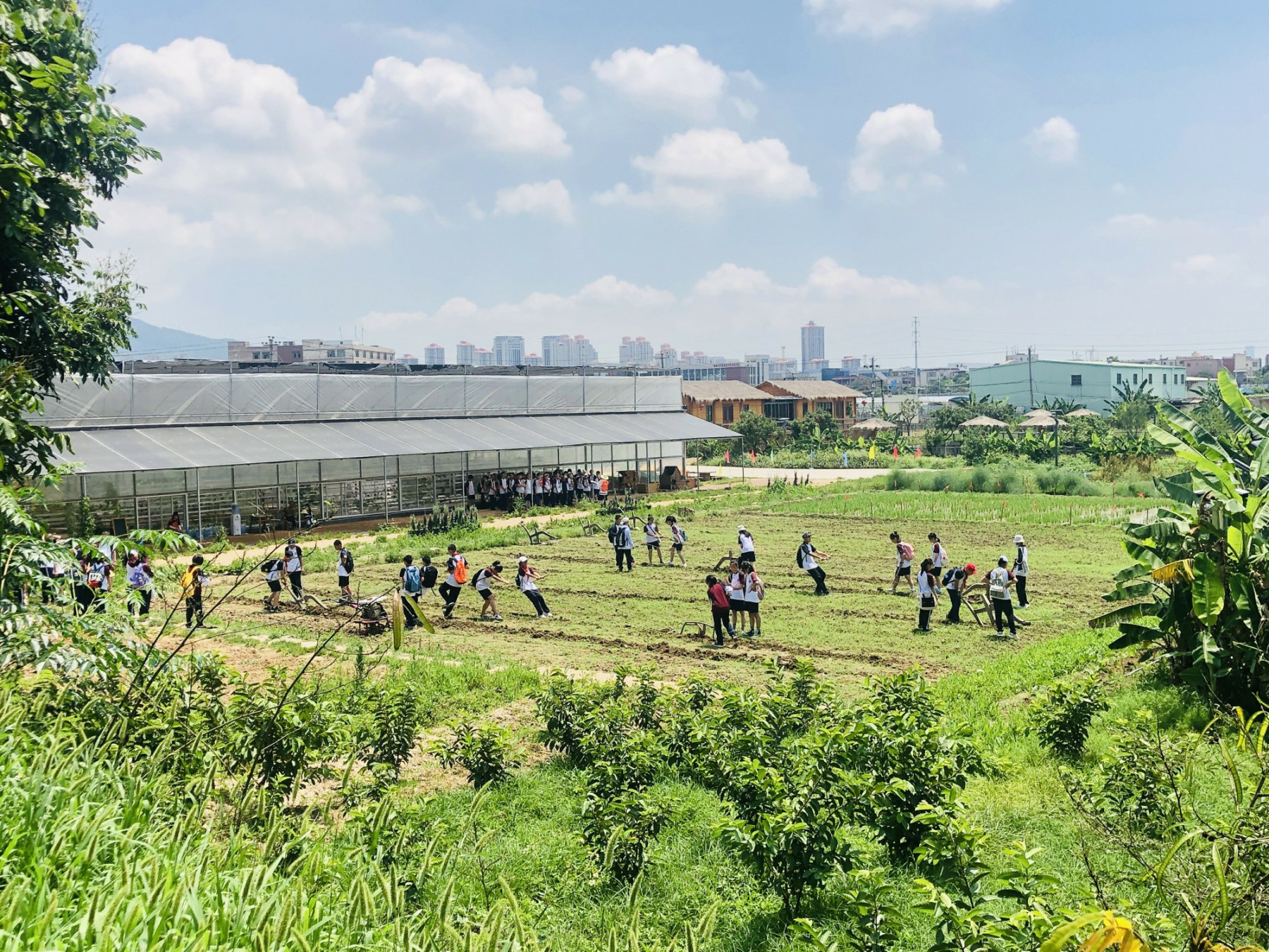 厦门市海沧区海沧街道青礁村