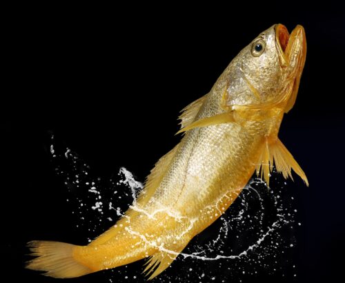 “端午吃五黄”，怎么做更好吃？