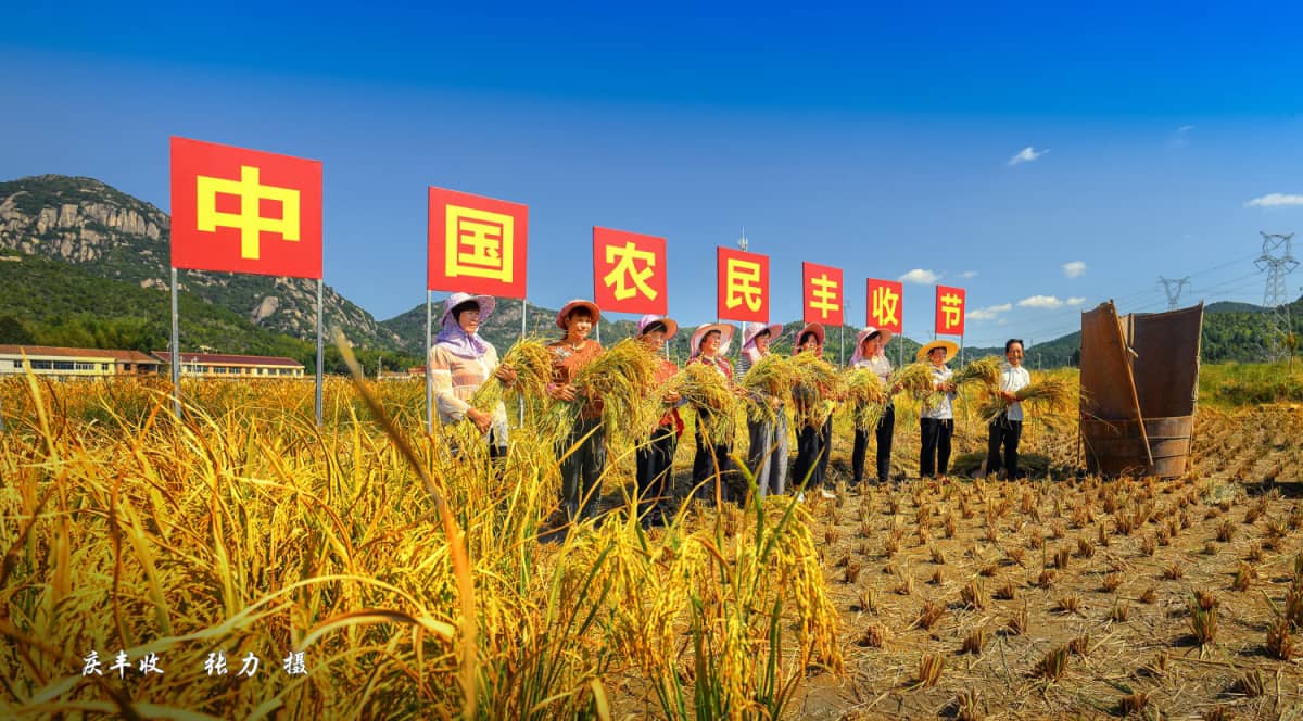 莆田市仙游县钟山镇朗桥村