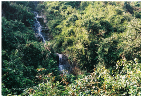 厦门市同安区汀溪镇顶村村