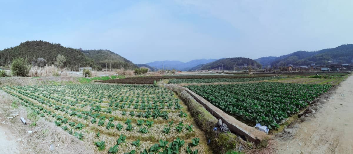 三明市三元区岩前镇忠山村