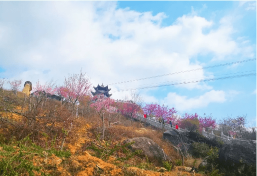 莆田市涵江区白沙镇坪盘村