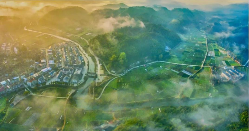 三明市三元区岩前镇忠山村