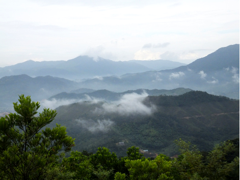 厦门市同安区汀溪镇顶村村