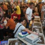 三沙印象：八闽大地有着古老传承有台湾商品，有新鲜鱼虾还有那些卖菜老人 ，这就是三沙