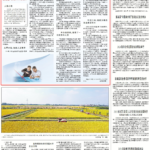 几十载努力，八旬专家让濒危大黄鱼“游”回餐桌