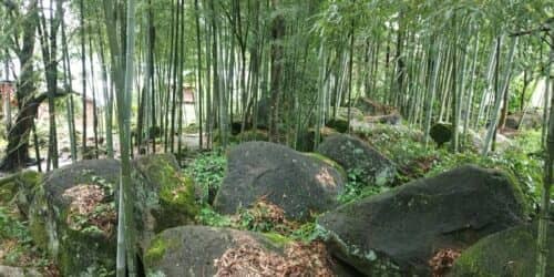 三明市建宁县濉溪镇高峰村