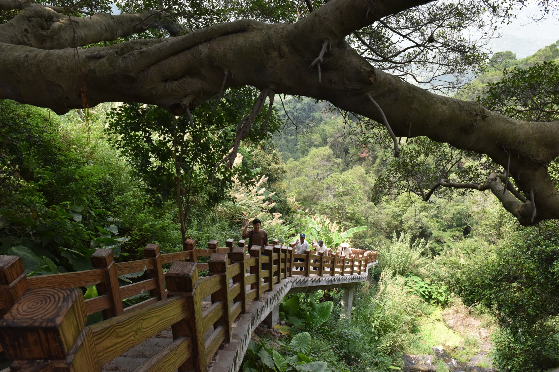 厦门市翔安区内厝镇锄山村