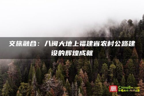 交旅融合：八闽大地上福建省农村公路建设的辉煌成就