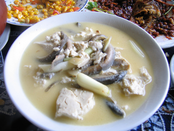 三明市泰宁县上青乡崇际村