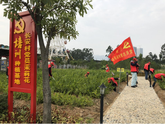 福州市长乐营前街道长安村