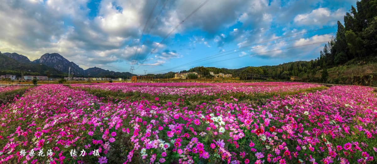 莆田市仙游县钟山镇朗桥村