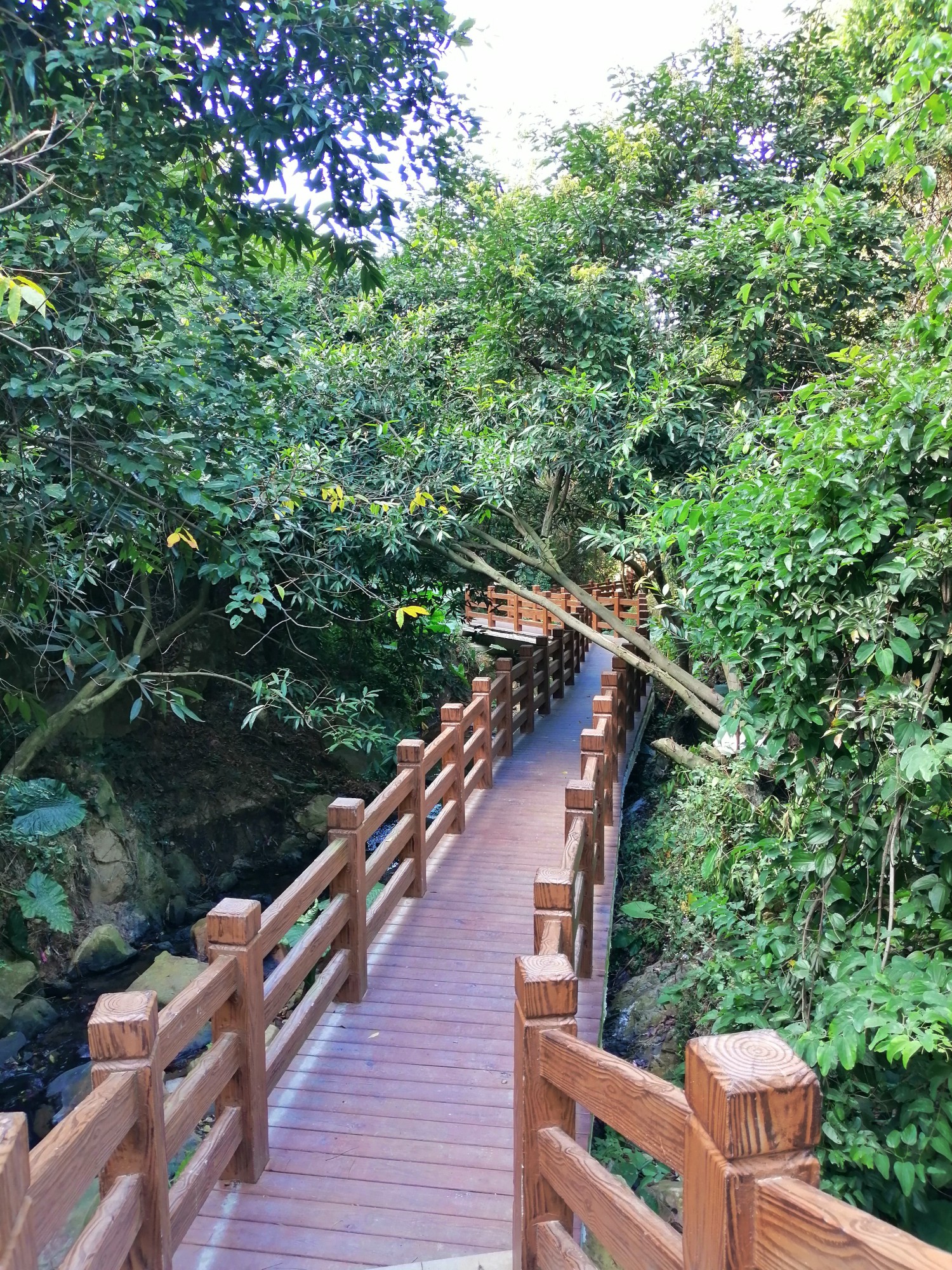厦门市翔安区内厝镇锄山村