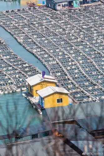 你还不知道吧？霞浦这座小城的美食比滩涂还要惊艳！！