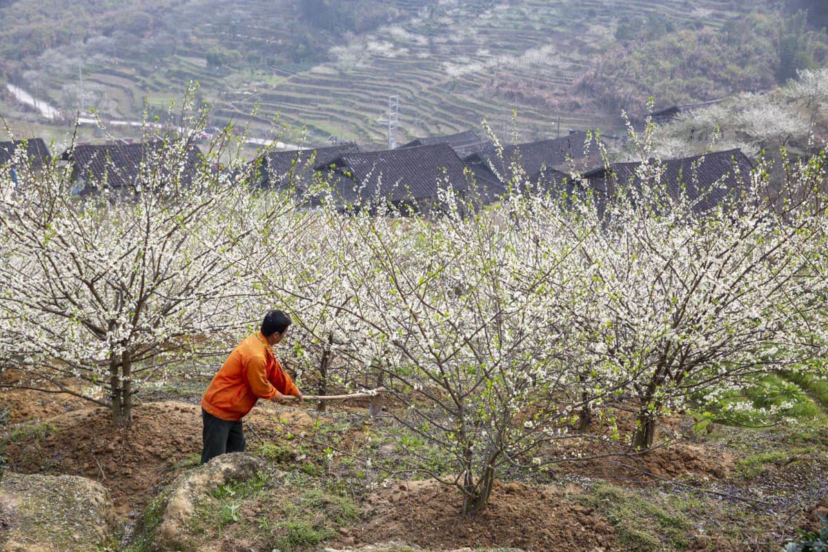 宁德福安市潭头镇棠溪村