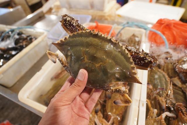 三沙印象:八闽大地有着古老传承有台湾商品,有新鲜鱼虾还有那些卖菜老人 ,这就是三沙