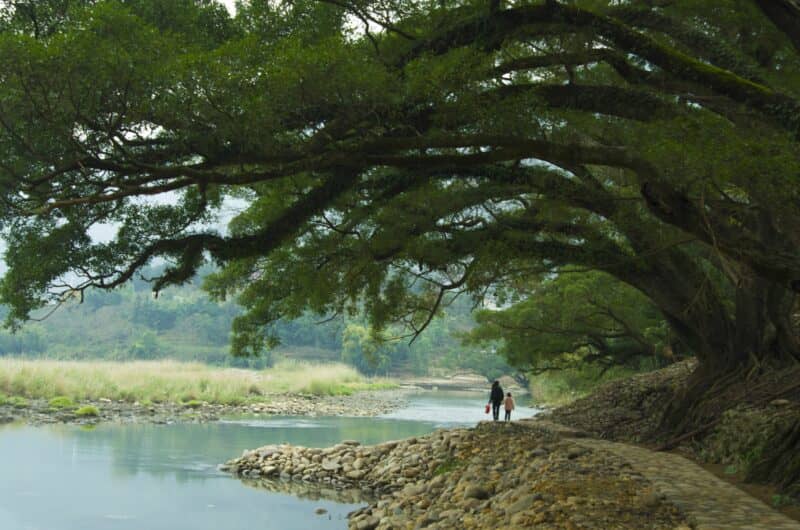 福州市永泰县梧桐镇春光村