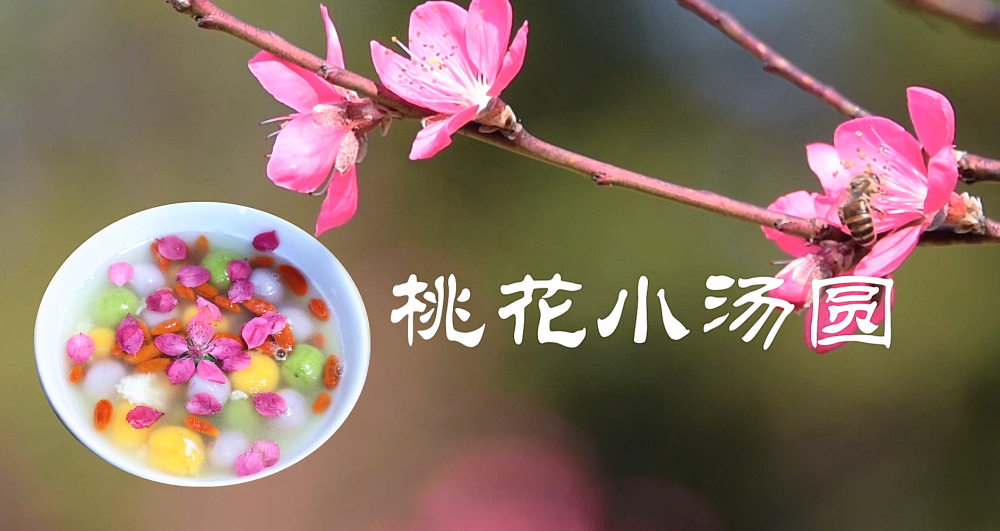 龙岩武平县万安镇捷文村
