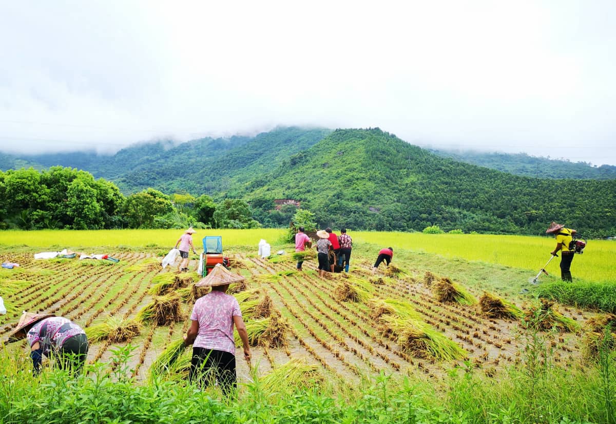 泉州市南安市英都镇良山村