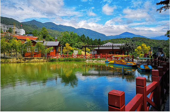 厦门市同安区汀溪镇顶村村