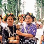 卑南族的历史和文化