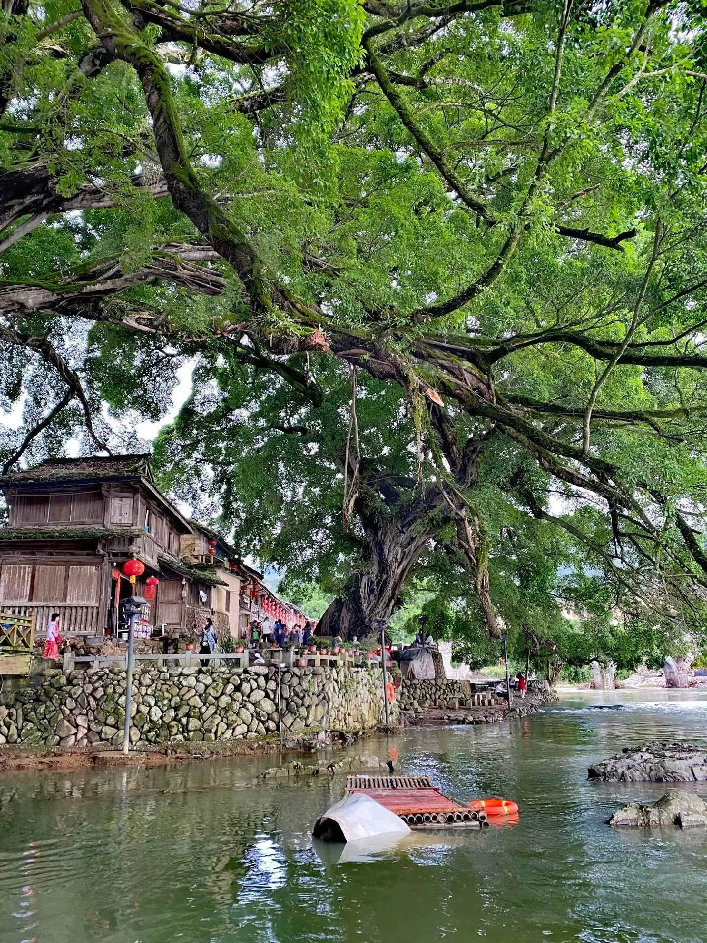 解锁不一样的东南风情,探秘八闽大地,福建有哪些景点,福建十大必游景点!