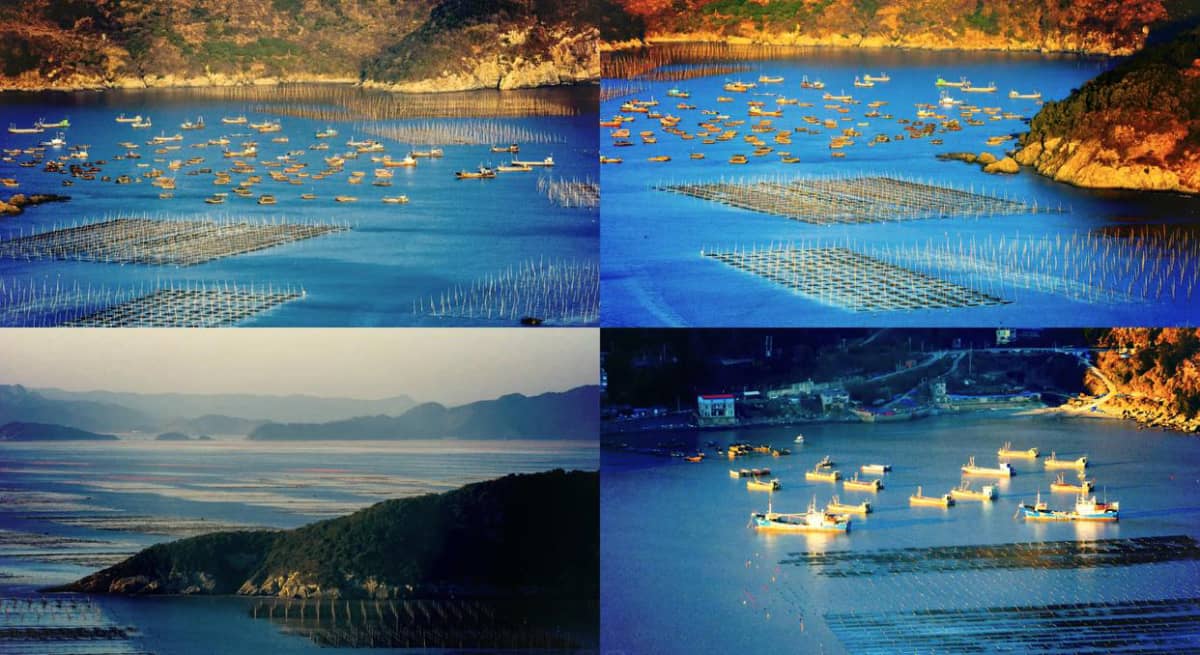 🌊霞浦三沙镇，观海绝佳去处！