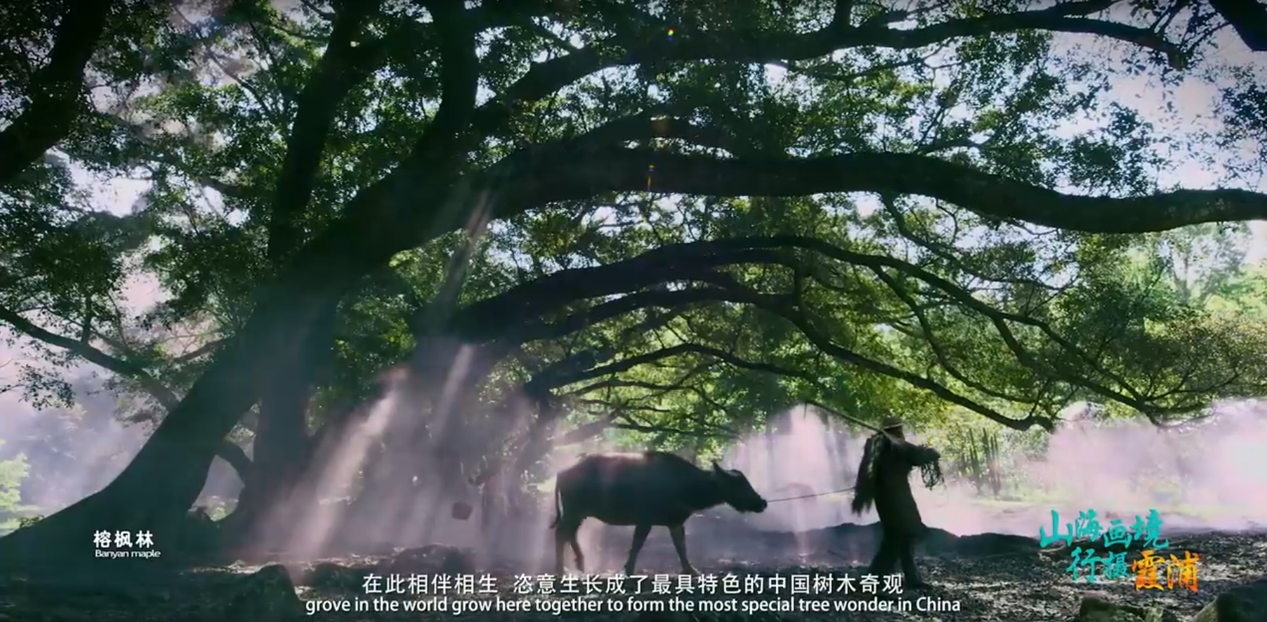 中国十大风光摄影胜地之首 · 霞浦