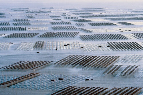 霞浦三沙：念好“山海经”走出“特色路”