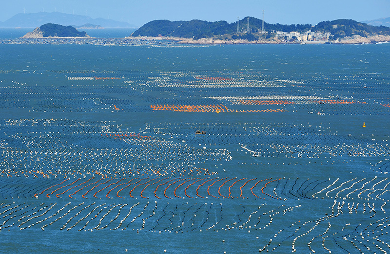 “两山”共“建”造“福”地——来自八闽大地的绿色发展观察