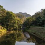 探访宁德霞浦杨家溪，漫步榕枫古桥，品味滩涂风光——2日游