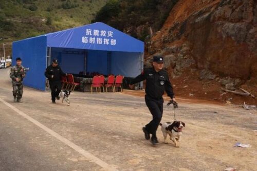 联合演练丨圆满完成2024年宁德市地震应急综合演练