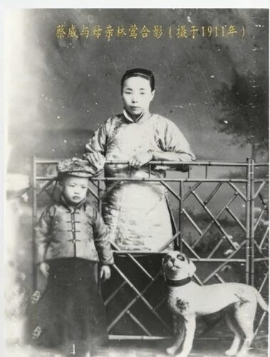 民国富家公子投身革命做出重大贡献，牺牲后战友凭宝剑找到他后代