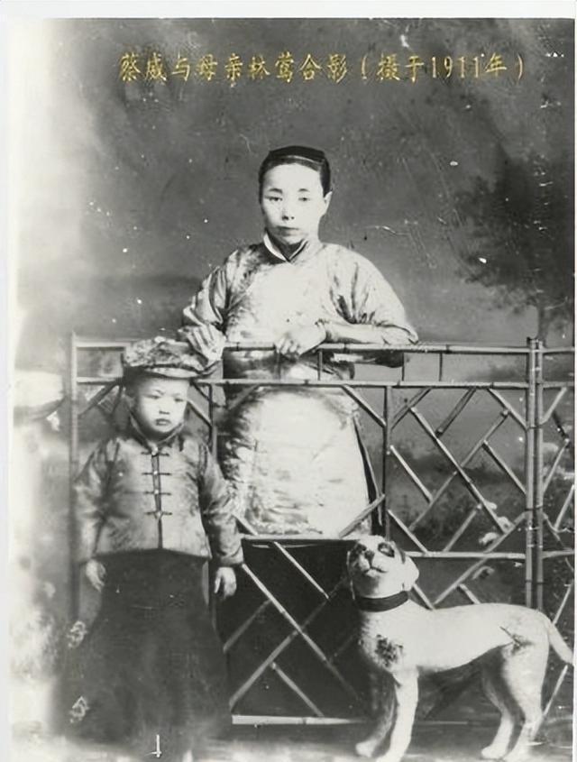 民国富家公子投身革命做出重大贡献,牺牲后战友凭宝剑找到他后代