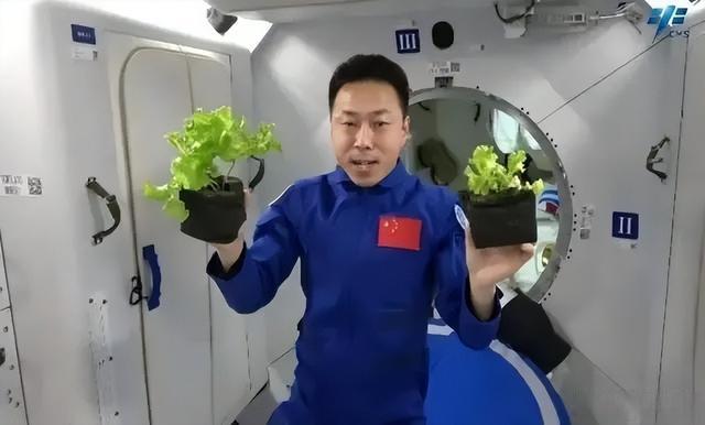 乘坐神舟飞船上过天的太空茶,有你家乡的吗?