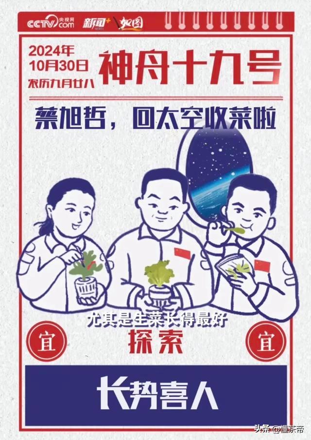 乘坐神舟飞船上过天的太空茶,有你家乡的吗?