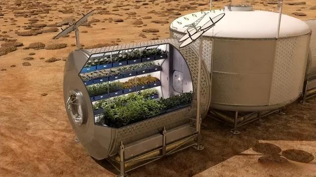 乘坐神舟飞船上过天的太空茶,有你家乡的吗?