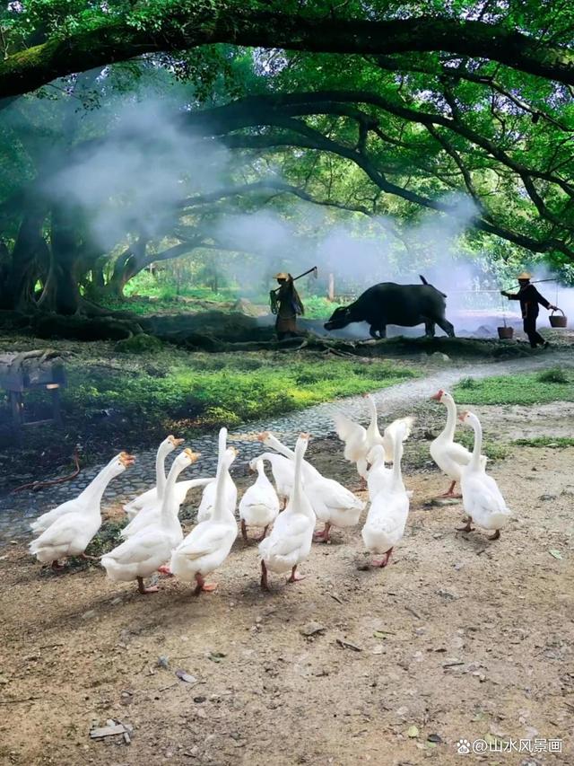 霞浦值得去的5个景点,如梦似幻的摄影天堂,光影之城值得一去!