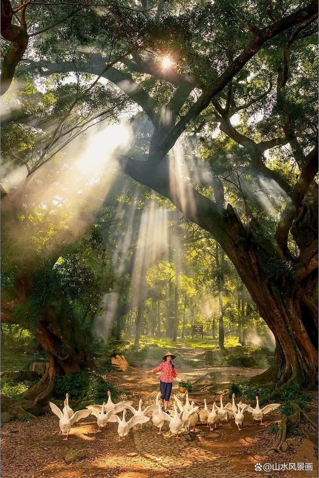 霞浦值得去的5个景点,如梦似幻的摄影天堂,光影之城值得一去!
