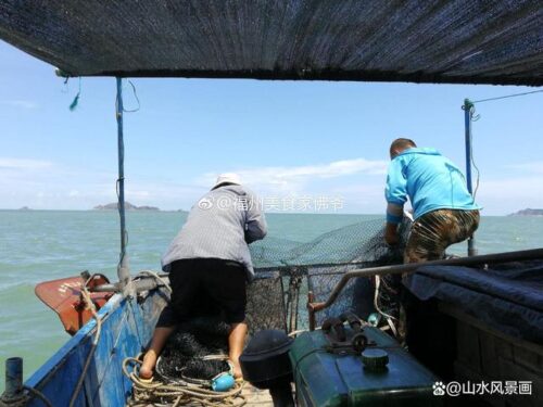 福建霞浦：滩涂摄影胜地，捕捉光影的魔幻时刻，附拍摄攻略！