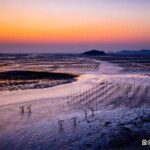 福建霞浦：滩涂摄影胜地，捕捉光影的魔幻时刻，附拍摄攻略！