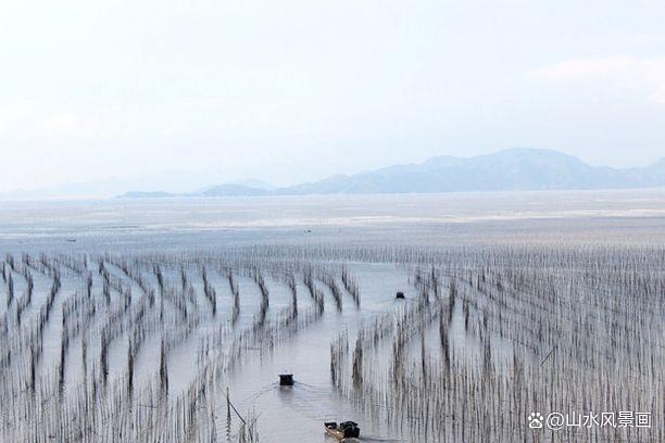 福建霞浦:滩涂摄影胜地,捕捉光影的魔幻时刻,附拍摄攻略!
