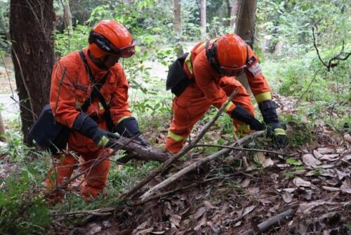 福建厦门：枕戈待旦磨砺剑 未雨绸缪备秋防
