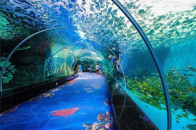 中国公认最美的10处福州美景!1.鼓山风景区—代表地:福州